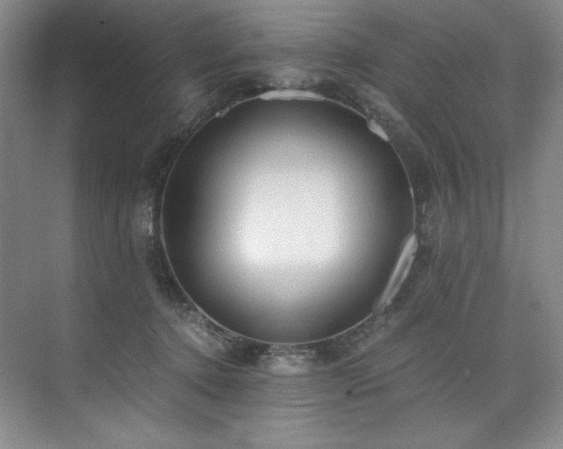 X0000073840368200608101236