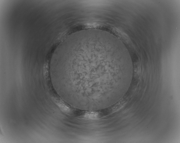 X0000073840369200608101236