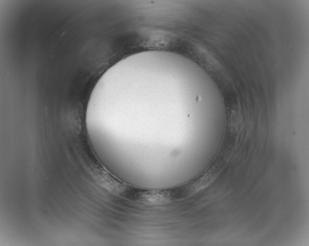 X0000073840370200608101236