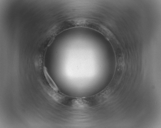 X0000073840372200608101236