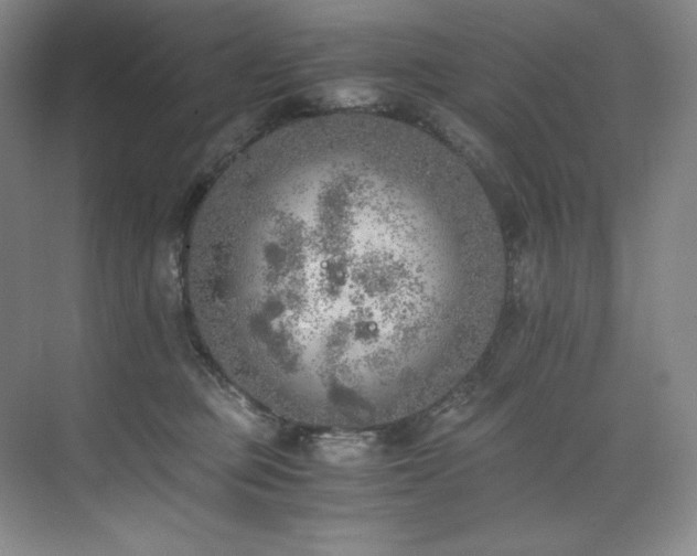 X0000073840373200608101236