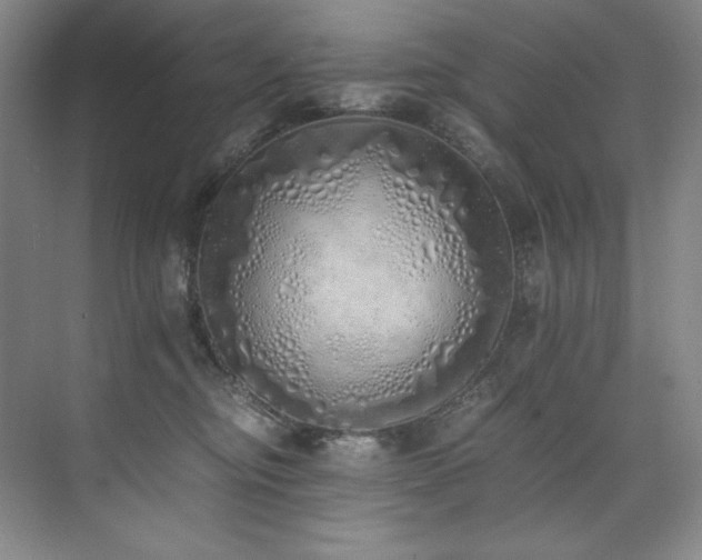 X0000073840374200608101236