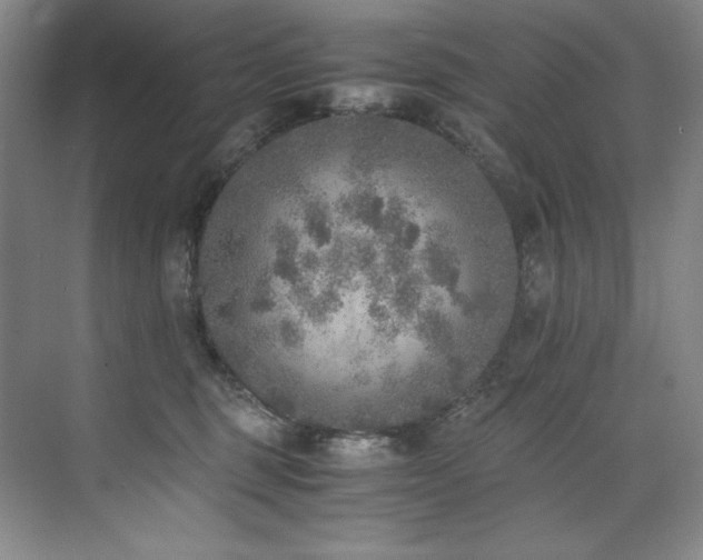 X0000073840375200608101236