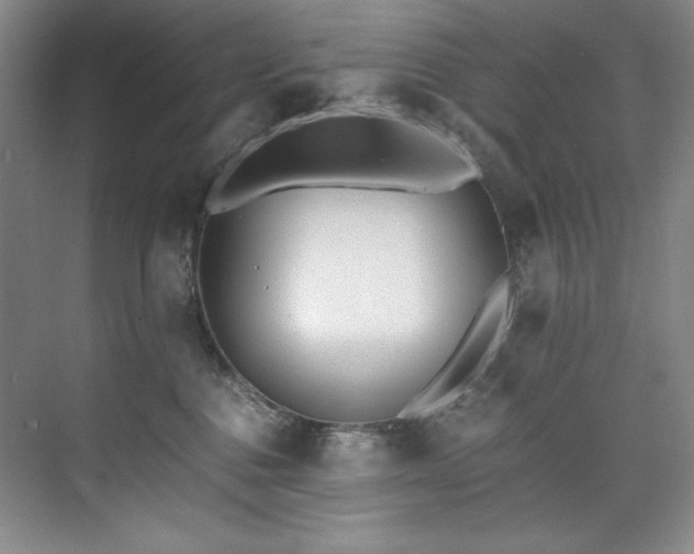 X0000073840376200608101236