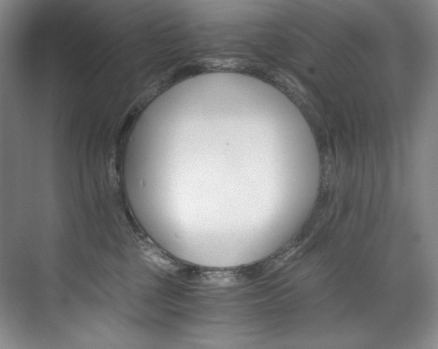 X0000073840377200608101236