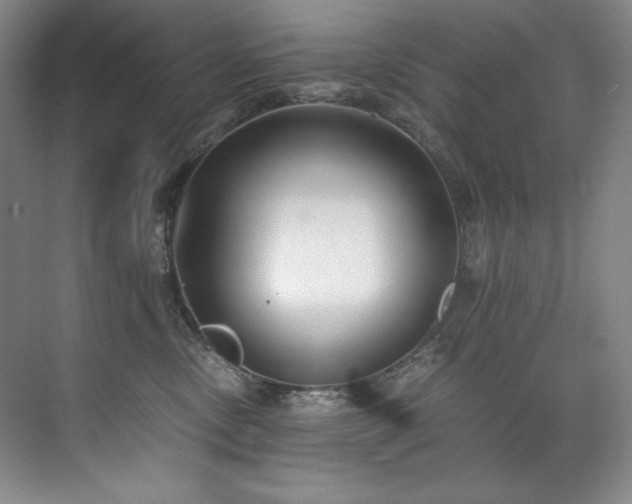 X0000073840378200608101236