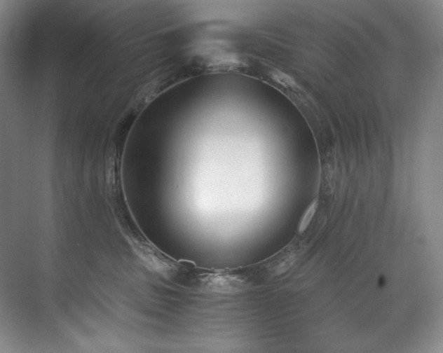 X0000073840379200608101236