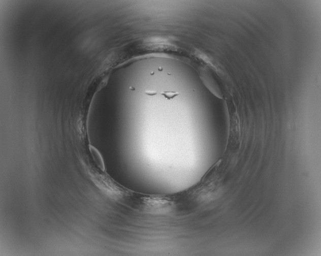 X0000073840380200608101236