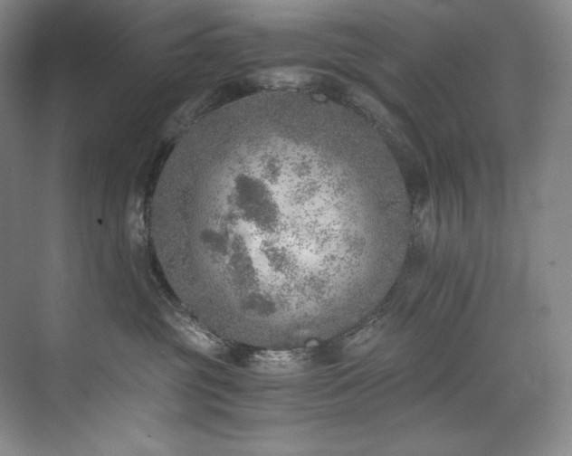 X0000073840381200608101236