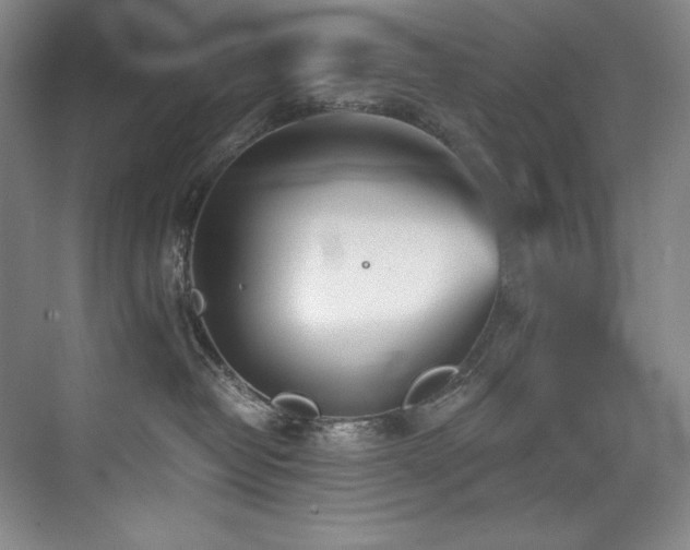 X0000073840382200608101236