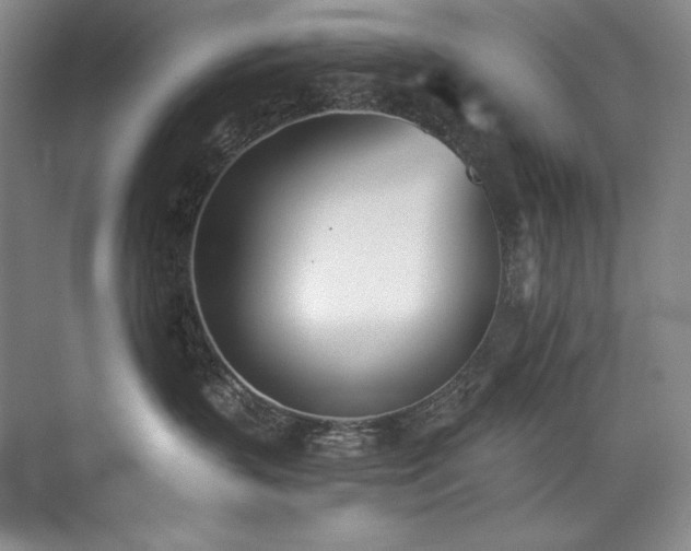 X0000073840383200608101236