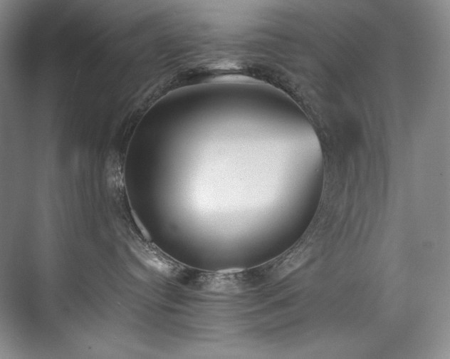 X0000073840384200608101236