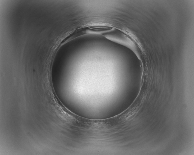 X0000073840385200608101235