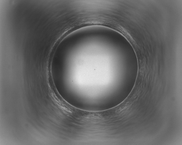 X0000073840386200608101235