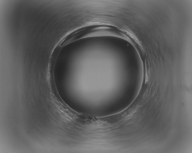 X0000073840387200608101235