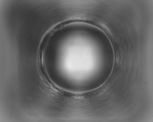 X0000073840388200608101235