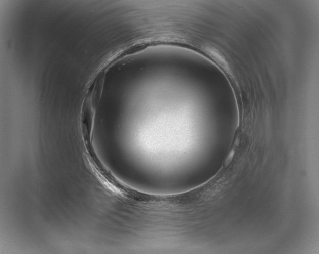 X0000073840389200608101235