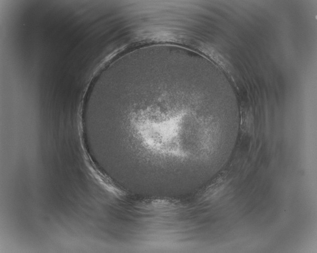 X0000073840390200608101235