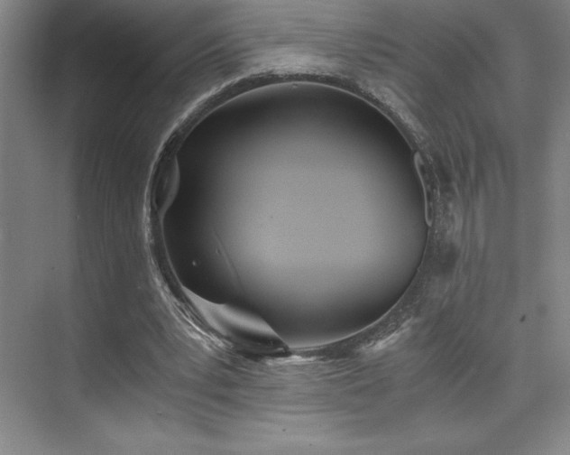 X0000073840391200608101235