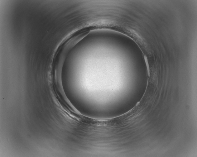 X0000073840392200608101235