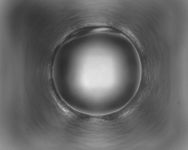 X0000073840393200608101235