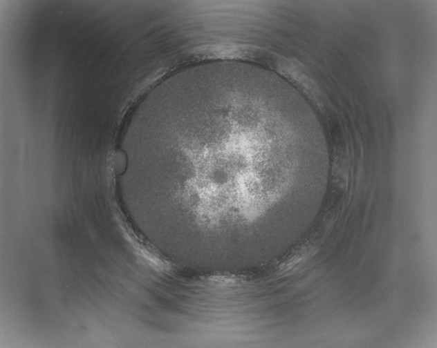 X0000073840394200608101235