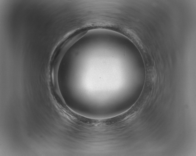 X0000073840395200608101235