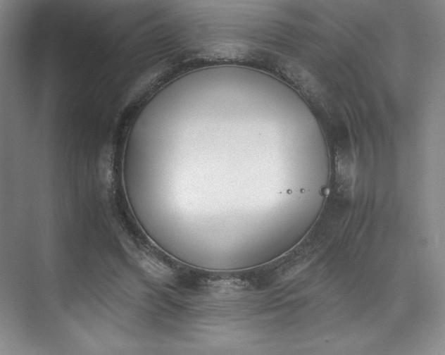 X0000073840396200608101235