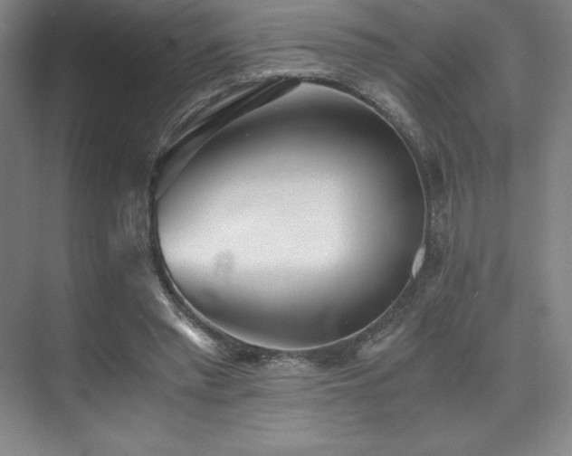 X0000073840397200608101235