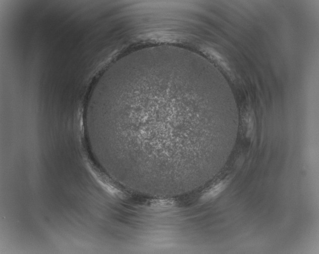 X0000073840398200608101235