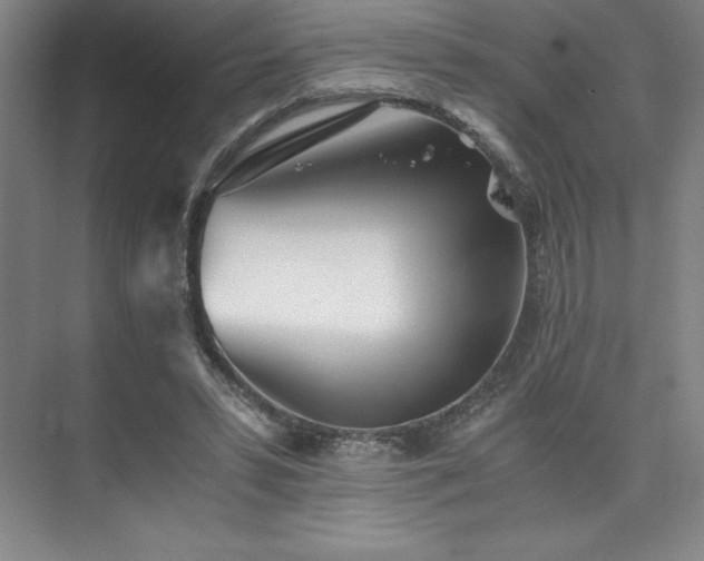 X0000073840399200608101235