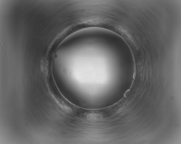 X0000073840400200608101235