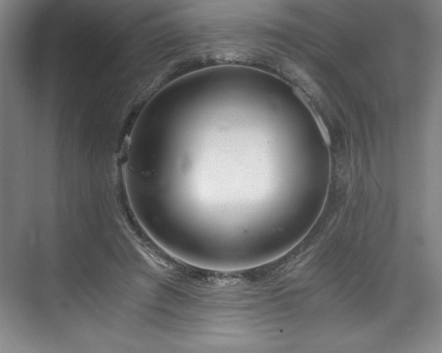 X0000073840401200608101235