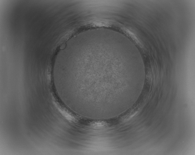 X0000073840402200608101235