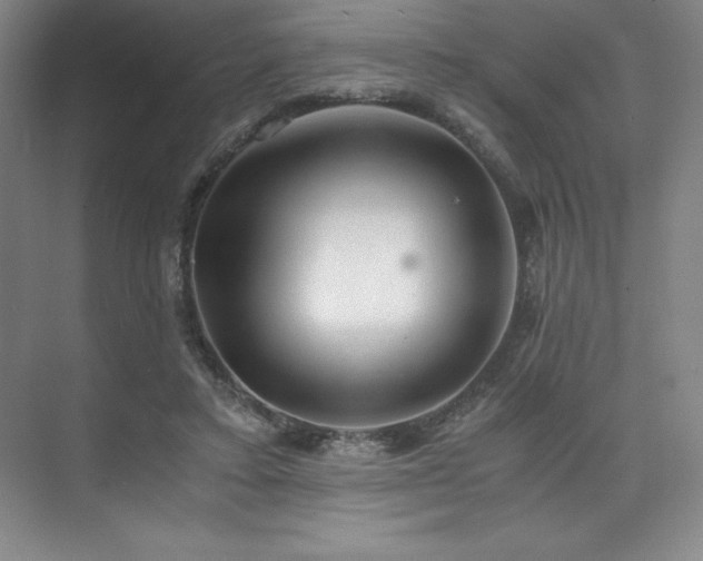 X0000073840403200608101235