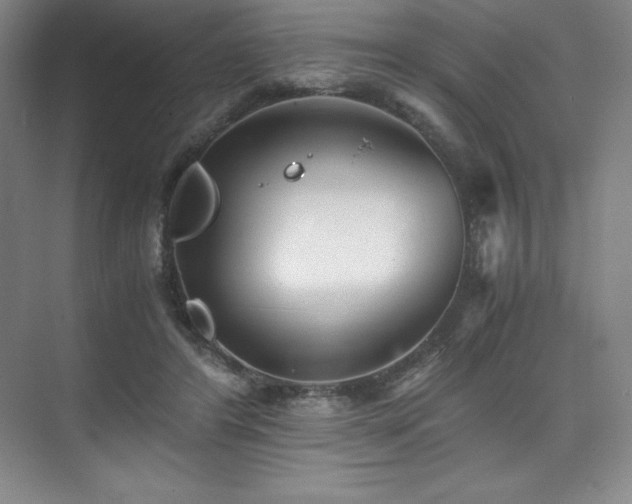 X0000073840404200608101235