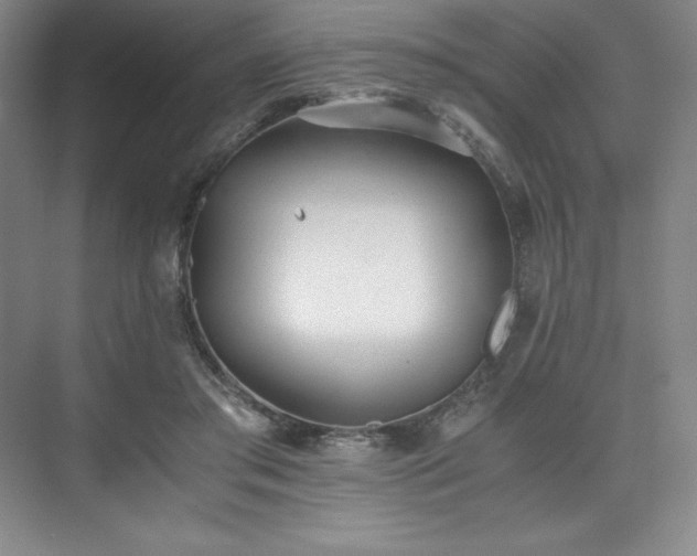 X0000073840405200608101235