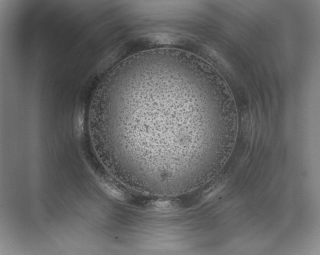 X0000073840406200608101235