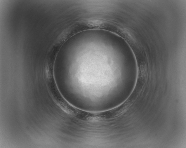 X0000073840408200608101235