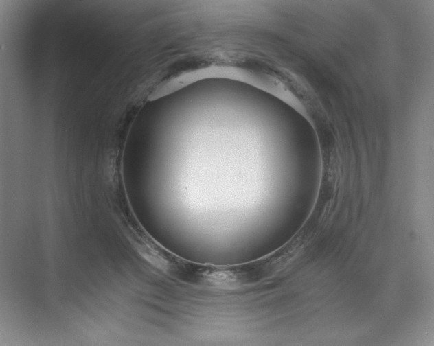 X0000073840409200608101235