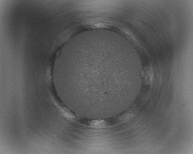 X0000073840410200608101235