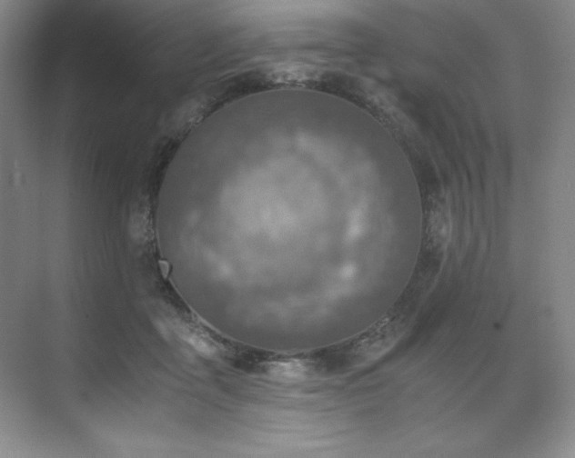 X0000073840411200608101235