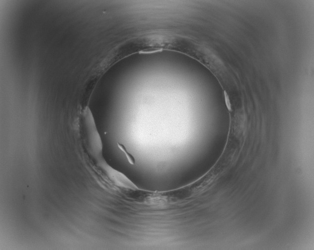 X0000073840413200608101234