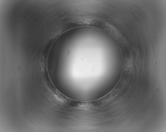 X0000073840414200608101234