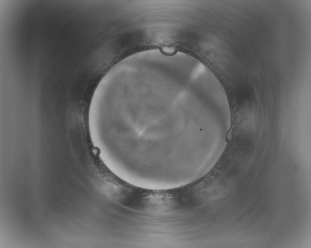 X0000073840415200608101234