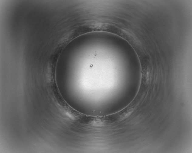 X0000073840416200608101234