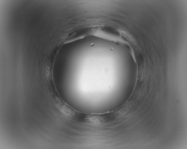 X0000073840417200608101234