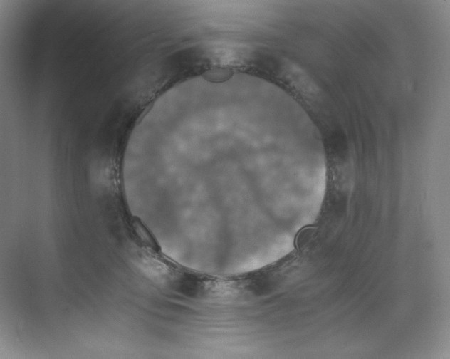 X0000073840419200608101234