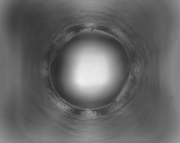 X0000073840421200608101234