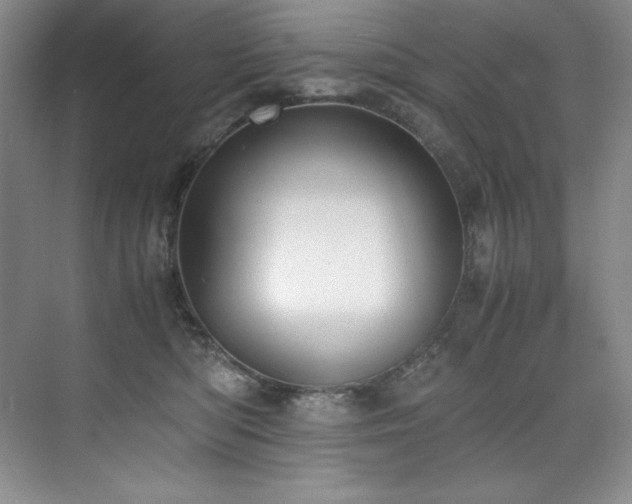 X0000073840422200608101234